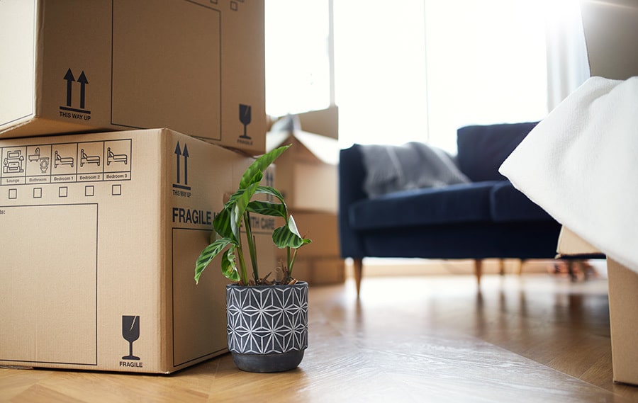 Moving home in Arundel? Essential tips when relocating