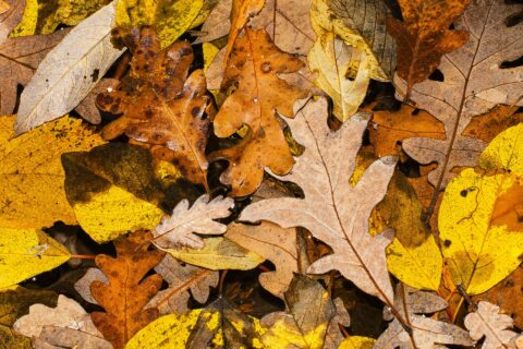 Prepare locks for Autumn in West Sussex